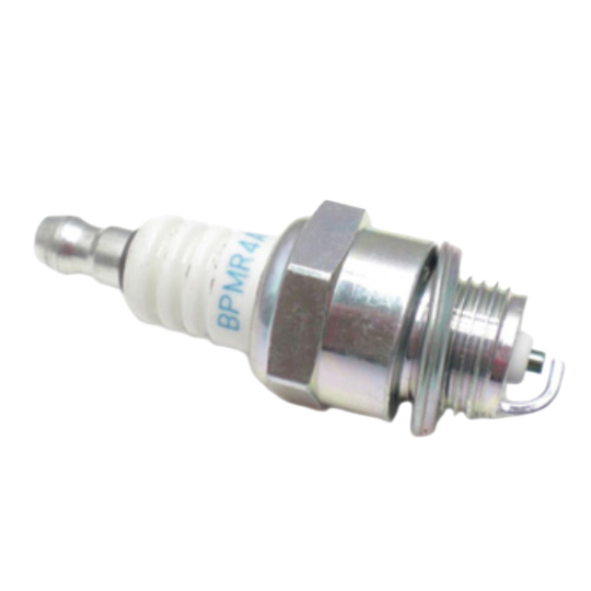 BPMR4A